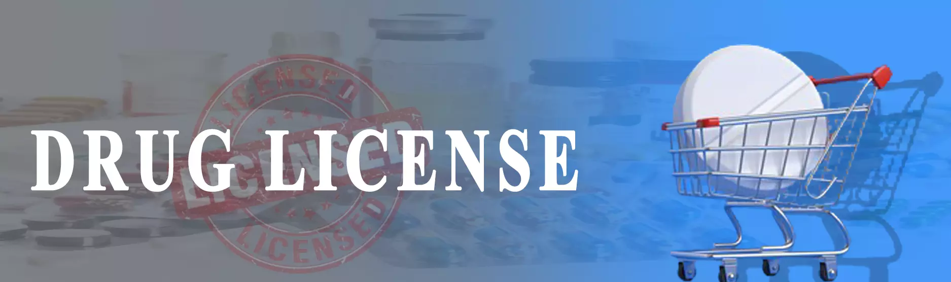 What is the Cost of Getting a Drug License in India 2024