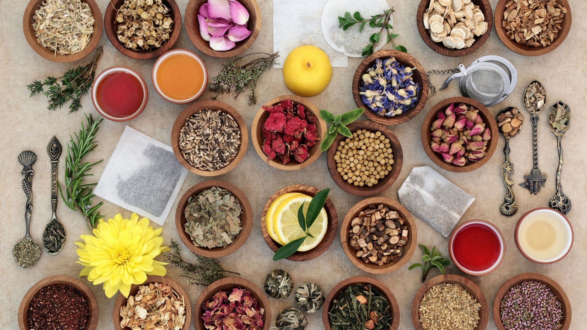 Is Ayurveda Business Profitable in India 2024
